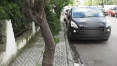 Τραγωδία στην Ελευσίνα: Ρίχναμε πετσέτες για να σταματήσουμε την αιμορραγία της γυναίκας, λέει μάρτυρας
