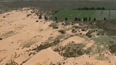 Στην Κίνα φύτευσαν εκατομμύρια δέντρα για να περιορίσουν την έρημο Γκόμπι, αλλά αυτά... ρούφηξαν το διαθέσιμο νερό