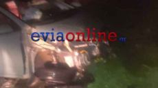 Τροχαίο στην Εύβοια:  Αυτοκίνητο χτύπησε αγριογούρουνο, τρεις τραυματίες 