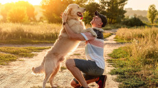 Μπορεί ο σκύλος να ξεχάσει έναν άνθρωπο που αγάπησε; Πώς λειτουργεί η μνήμη του