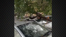 Προβλήματα από τους θυελλώδεις ανέμους στην Κρήτη: Έπεσαν δέντρα σε αυτοκίνητα, κλειστά αύριο τα σχολεία στους δήμους Ηρακλείου και Μαλεβιζίου