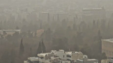 «Τροπικό δάσος» ο Εθνικός Κήπος λόγω της αφρικανικής σκόνης: Δείτε βίντεο 