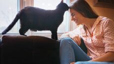 Γιατί σας κουτουλάει η γάτα σας; Μία ακόμα παράξενη συμπεριφορά εξηγείται