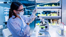 Ένα βήμα πιο κοντά στο «εμβόλιο για όλα»: Ιούς, βακτήρια, αλλεργιογόνα
