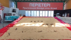 Λαγάνα - γίγας με 320 κιλά αλεύρι στο Περιστέρι: «Σαρακοστή είναι το χαμόγελο των παιδιών» δήλωσε ο δήμαρχος Παχατουρίδης
