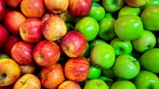 Ένα μήλο την ημέρα τον γιατρό τον κάνει πέρα: Έρευνες εξηγούν εάν η γνωστή παροιμία έχει επιστημονική βάση