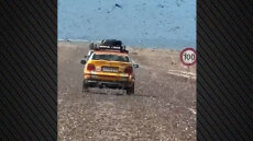 Τεράστια σμήνη ακρίδων αιφνιδίασαν οδηγούς στη Σαχάρα, δείτε βίντεο