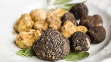 Τρούφα στην Ελλάδα: Πού βρίσκεται, ποια είδη υπάρχουν και πόσο κοστίζει