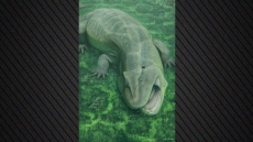 Ανακαλύφθηκε παράξενο προϊστορικό ζώο με στριμμένη γνάθο και δόντια που κοιτούσαν στο πλάι που ζούσε πριν από 275 εκατ. χρόνια