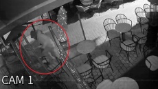 Διαρρήκτης στο Αγρίνιο σκαρφάλωνε σε τέντα για να μπει σε κατάστημα, καρέ καρέ η δράση του 
