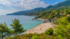 Σε δημοπρασία η γνωστή παραλία «Φάβα» στη Χαλκιδική, αντιδράσεις από κατοίκους και τοπικούς φορείς