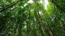  Ο Φεβρουάριος ανάμεσα στους πιο θερμούς παγκοσμίως στα χρονικά, οι εντυπωσιακές αντιθέσεις