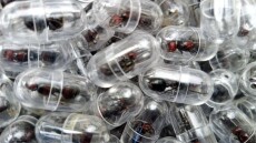 Κένυα: Άνδρας προσπάθησε να εξαγάγει λαθραία 2.000 ζωντανά μυρμήγκια μέσα στις αποσκευές του