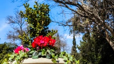 Καιρός: Ήπιος και ανοιξιάτικος το επόμενο δεκαήμερο, με μικρές διακυμάνσεις