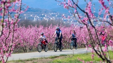 Το παραμυθένιο μέρος που δεν θυμίζει Ελλάδα αλλά είναι στη Βέροια, δείτε βίντεο από τη ροζ επαρχία