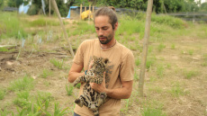 Ο κτηνίατρος που γύρισε από τη ζούγκλα: Ο Μανώλης Κουμαντάκης έσωσε μυρμηγκοφάγο στον Αμαζόνιο και τώρα περιθάλπει ιγκουάνα στην Αθήνα, δείτε φωτογραφίες