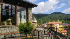 Μηλιά Μετσόβου: Το χωριό που βαλσάμωσε αρκούδα και τη τοποθέτησε στην πλατεία του