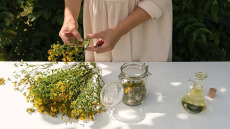 Το αντικαταθλιπτικό βότανο που είναι βάλσαμο για τη διάθεση
