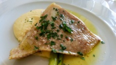 Σαλάχι: Ένας υποτιμημένος θαλασσινός μεζές – Πώς τρώγεται και τι να προσέχουμε