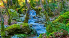 Ιδέες για εκδρομές την άνοιξη κοντά στην πόλη