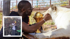 Κόπα Άφρικα: Το τρόπαιο φυλάσσεται από... λιοντάρια και στρατιώτες, δείτε βίντεο