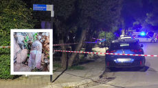 Παιδιά εντόπισαν την οβίδα στην Πεύκη ενώ έπαιζαν και την πήγαν στους γονείς τους για να τη δουν, δείτε βίντεο