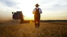 «Γεμάτο» φυτοφάρμακα το 70% των εδαφών της Ευρώπης – Πού εντοπίζονται
