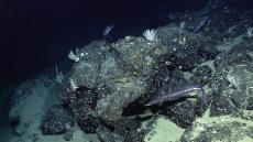 Η NASA χαρτογράφησε τον βυθό της Γης από το διάστημα και ανακάλυψε άγνωστα στοιχεία που αλλάζουν τα δεδομένα