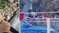 Εξουδετερώθηκε η οβίδα που βρέθηκε στην Πεύκη, «το παιδί μου έπαιζε ποδόσφαιρο με αυτή» λέει πατέρας
