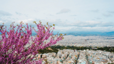 Προς παράταση η έναρξη του ΜΙΔΑ: Aνοίγει μέσα στον Απρίλιο αντί για Μάρτιο