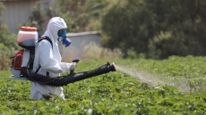 Έρευνα δείχνει ισχυρή συσχέτιση μεταξύ της έκθεσης σε φυτοφάρμακα και του κινδύνου εμφάνισης καρκίνου