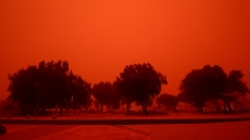 Κρήτη: Αδέλφια τσακώθηκαν μεταξύ τους για την... αφρικανική σκόνη, ο ένας πήρε το μέρος γείτονα που έριχνε νερό για να την απομακρύνει