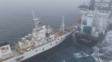 Ακτιβιστές κατά της φαλαινοθηρίας συγκρούστηκαν με βιομηχανικό πλοίο στην Ανταρκτική, δείτε βίντεο 
