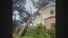 Σοβαρές ζημιές στον Ιερό Ναό Αγίων Πατέρων της Μυτιλήνης μετά από πτώση μεγάλου δέντρου, δείτε φωτογραφίες