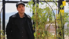 Όταν ο ιδιοκτήτης της ταράτσας με τη στάνη στους Αμπελόκηπους διαφήμιζε τον κήπο του στην WWF, δείτε βίντεο
