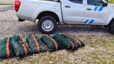 Συνελήφθη 44χρονος στη Γλύφα για παράνομη αλιεία 2.500 αχινών, τους έριξαν ξανά πίσω στη θάλασσα