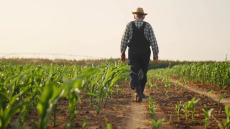 Μελέτη στο Nature συνδέει τα φυτοφάρμακα με αυξημένο κίνδυνο καρκίνου

