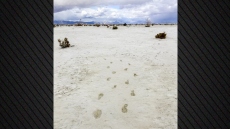 Αποτυπώματα 10.000 ετών αποκαλύπτουν το επικίνδυνο ταξίδι μιας μητέρας με το παιδί της σε μία διαδρομή γεμάτη αρπακτικά