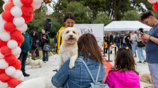 Υιοθεσίες, χοροί και δράσεις σε μια γιορτή γεμάτη χαρούμενα κατοικίδια στο Woof Festival 2026 από topetmou.gr
