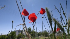 Καιρός: Οι 8 περιοχές με τις υψηλότερες θερμοκρασίες, πού ξεπέρασε τους 28°C το θερμόμετρο