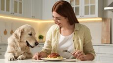 Γιατί παραπονιέται ο σκύλος μας όταν καθόμαστε για φαγητό – Τι μπορούμε να κάνουμε