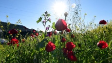 Καιρός: Τοπικές βροχές και πτώση θερμοκρασίας έως τη Μεγάλη Παρασκευή - Άνοδος την Κυριακή του Πάσχα