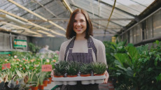 8 φυτά εσωτερικού χώρου που χαρίζουν αρμονία και μας φτιάχνουν τη διάθεση