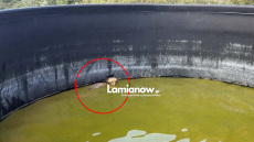 Αλεπού στη Λαμία εγκλωβίστηκε μέσα σε δεξαμενή νερού και την έσωσαν οι πυροσβέστες, δείτε βίντεο 