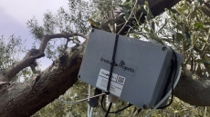 Αγουρέλαιο Χαλκιδικής: Καινοτόμo πρωτόκολλο παραγωγής με ευφυή συστήματα «εκτοξεύει» τις δυνατότητες των ελαιοκαλλιεργητών