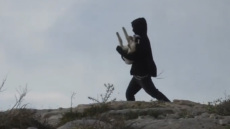 Δείτε βίντεο: Ισραηλινοί έποικοι στη Δυτική Όχθη κλέβουν αρνιά από παλαιστινιακό οικισμό