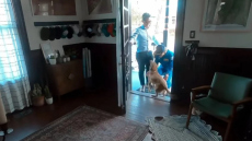 Η αστροναύτης του Artemis II βλέπει το σκυλάκι της μετά από μέρες - Η επανένωση έγινε viral στο διαδίκτυο, δείτε το βίντεο