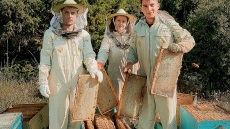 Μέλι ελάτης βανίλια: Γιατί δεν παράγεται κάθε χρόνο στο Μαίναλο