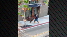 Εντυπωσιακή σύλληψη άνδρα με τη βοήθεια σκύλου Κ9 της Αστυνομίας στο Σαν Ντιέγκο, δείτε βίντεο