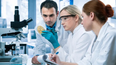 Ανθεκτικοί μύκητες, η νέα μεγάλη απειλή – 50 ερευνητές προτείνουν πλάνο αντιμετώπισης 5 σημείων